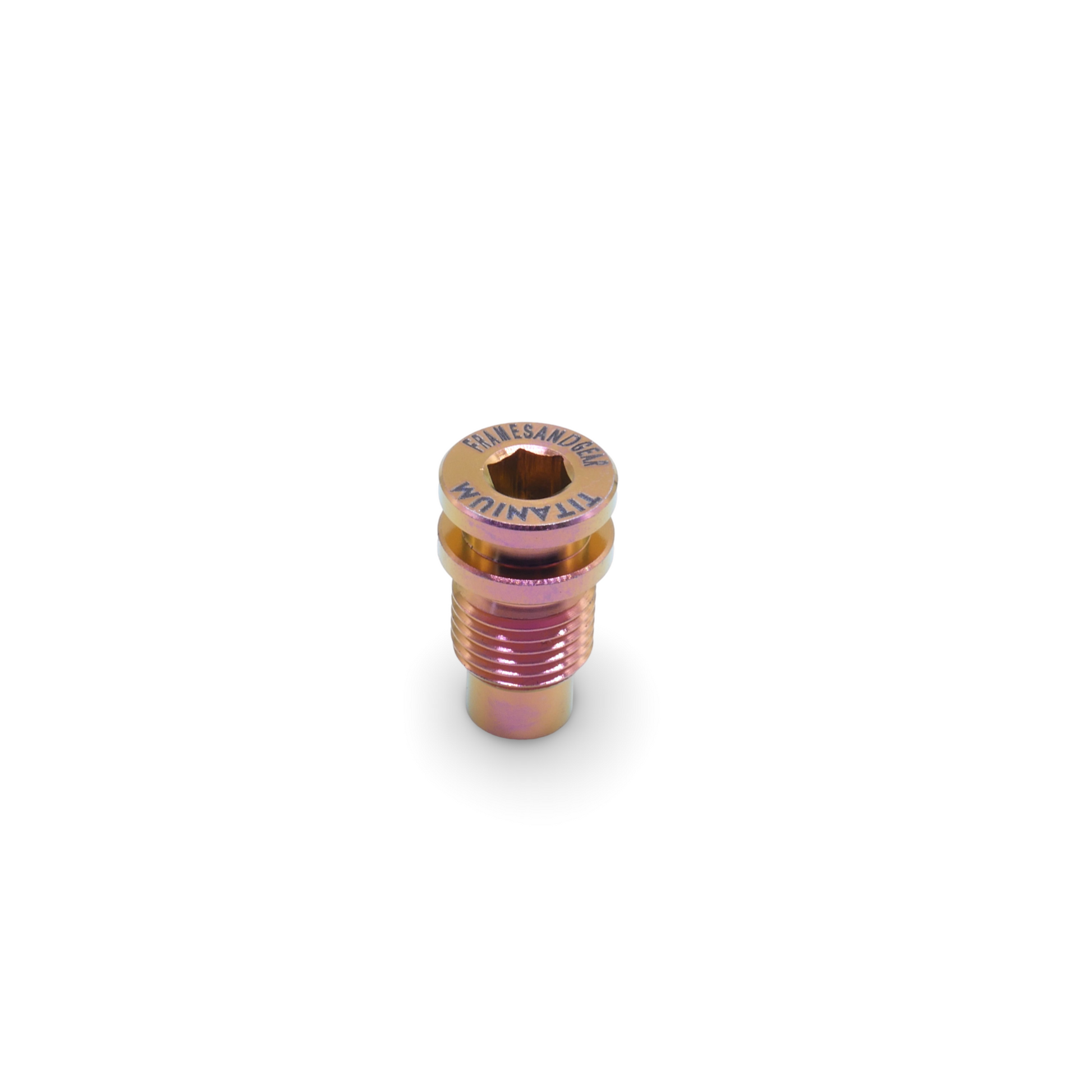 Titanium Derailleur Hanger Bolt Purple Bronze