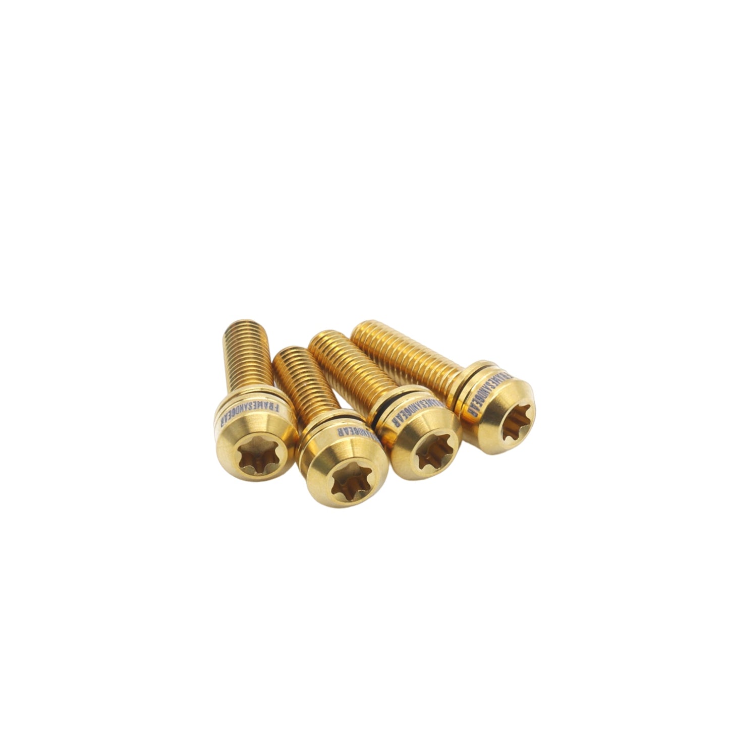 Framesandgear Titanium Computer Mount Bolts M5*18 Gold (Cylindrical Head)
