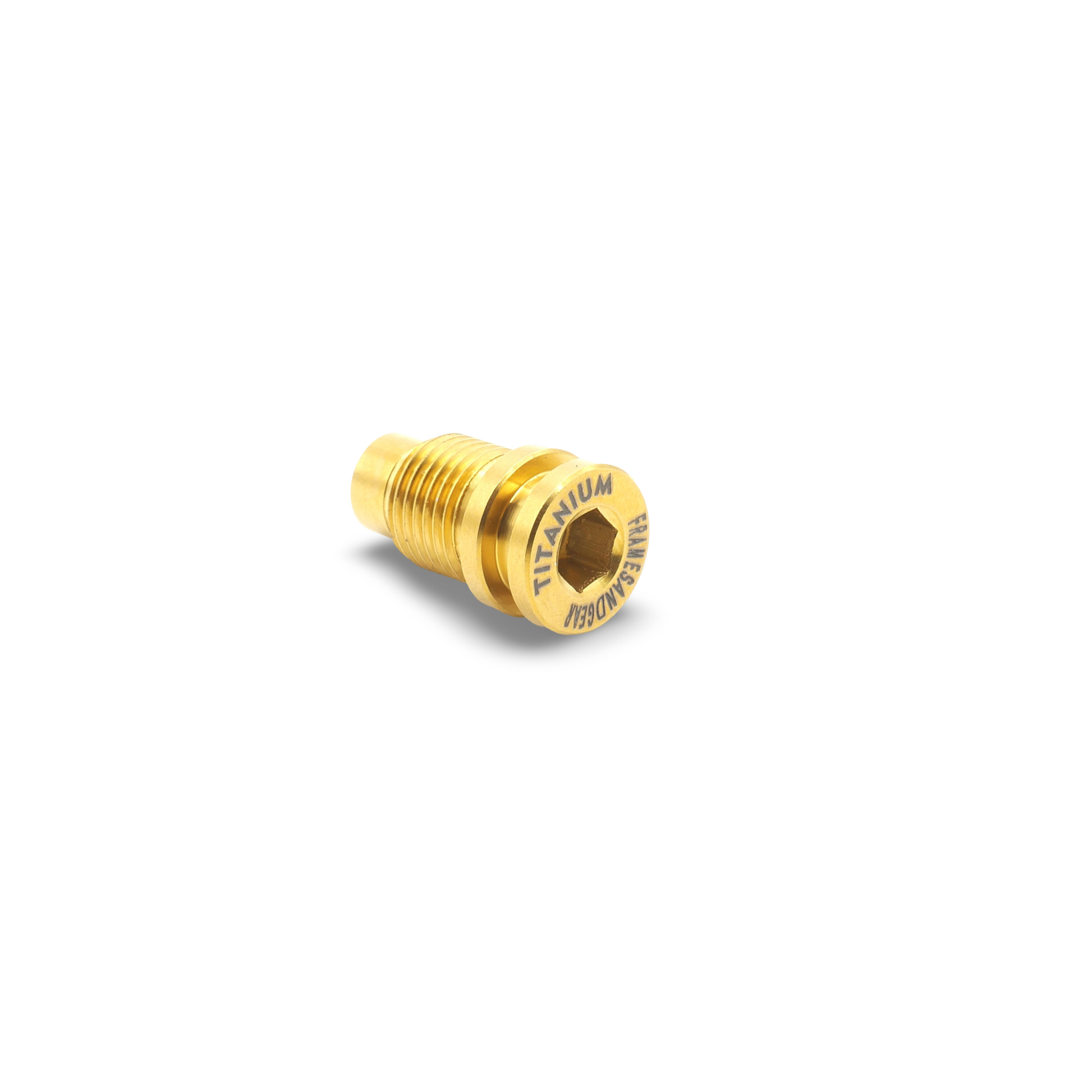 Titanium Derailleur Hanger Bolt Gold