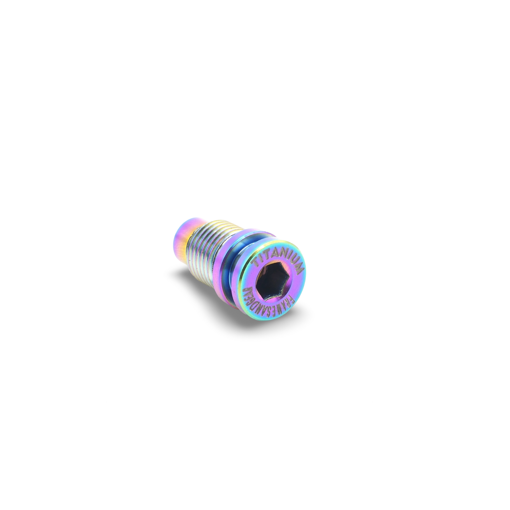 Titanium Derailleur Hanger Bolt Oilslick