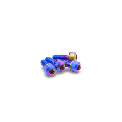 Framesandgear Titanium Computer Mount Bolts M5*14 (Cylindrical Head) Trout