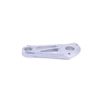 Framesandgear Giant Disc Brake Direct Mount Derailleur Hanger Silver