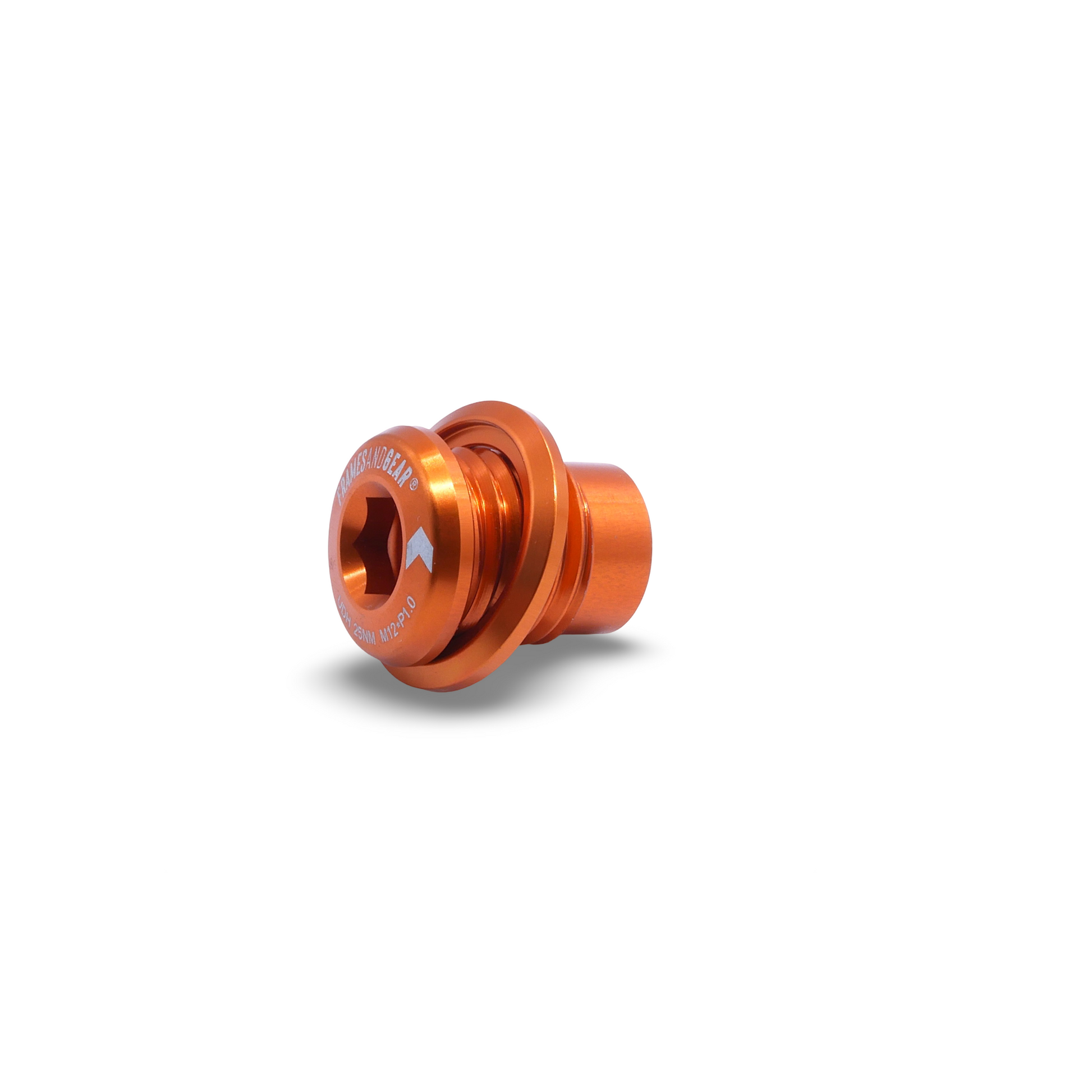 Framesandgear Spare Bolt for UDH Mounts (SRAM and Shimano) P1.0 