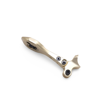 Framesandgear Aero Computer Mount for Roval Rapide (Tarmac SL8) With Fixed GoPro Gold